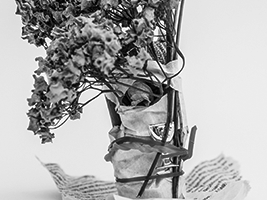 Injertología Objetual, 2013