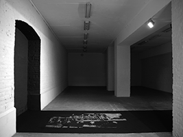 Pulvis et Umbra I, 2014